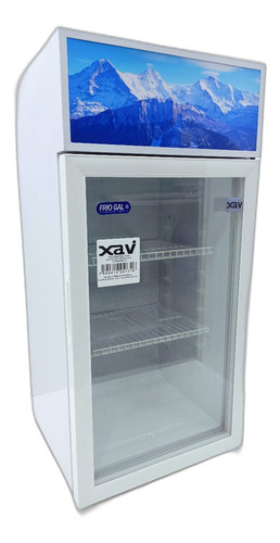 Nevera Vitrina Refrigerada 1 Puerta 100 Friogal Iy 8923 Xavi