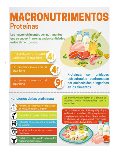 Poster Nutrición Consultorio Alimentos Grande  70 X 50 Cm