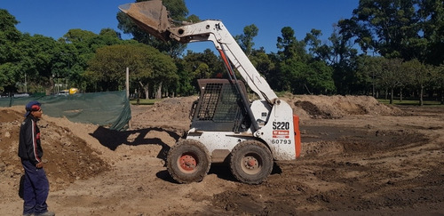 Bobcat