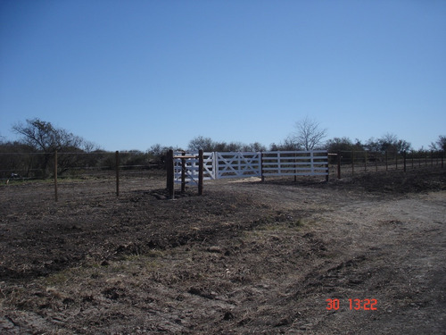 Imagen 3 de 12 de Campo Ganadero 42 Has E.rios Altamirano Sud Ideal Ganadería