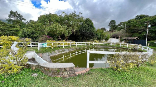 Imagen 4 de 8 de Venta Finca Agroturismo San Cristóbal