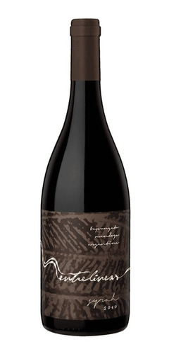 Vino Entrelineas Syrah  Tupungato Mendoza 11m Barricas