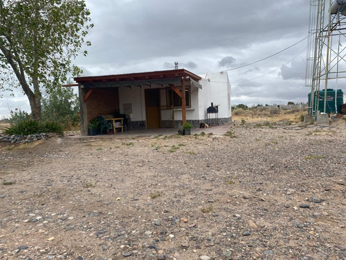 Imagen 3 de 15 de Chacra En Alquiler - Galpón - Ciudad Industrial - Neuquén