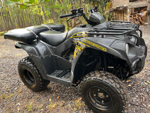 Imagen 12 de 12 de Kawasaki Brute Force 300