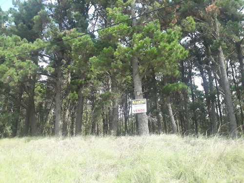 Terreno En Venta En Mar De Las Pampas