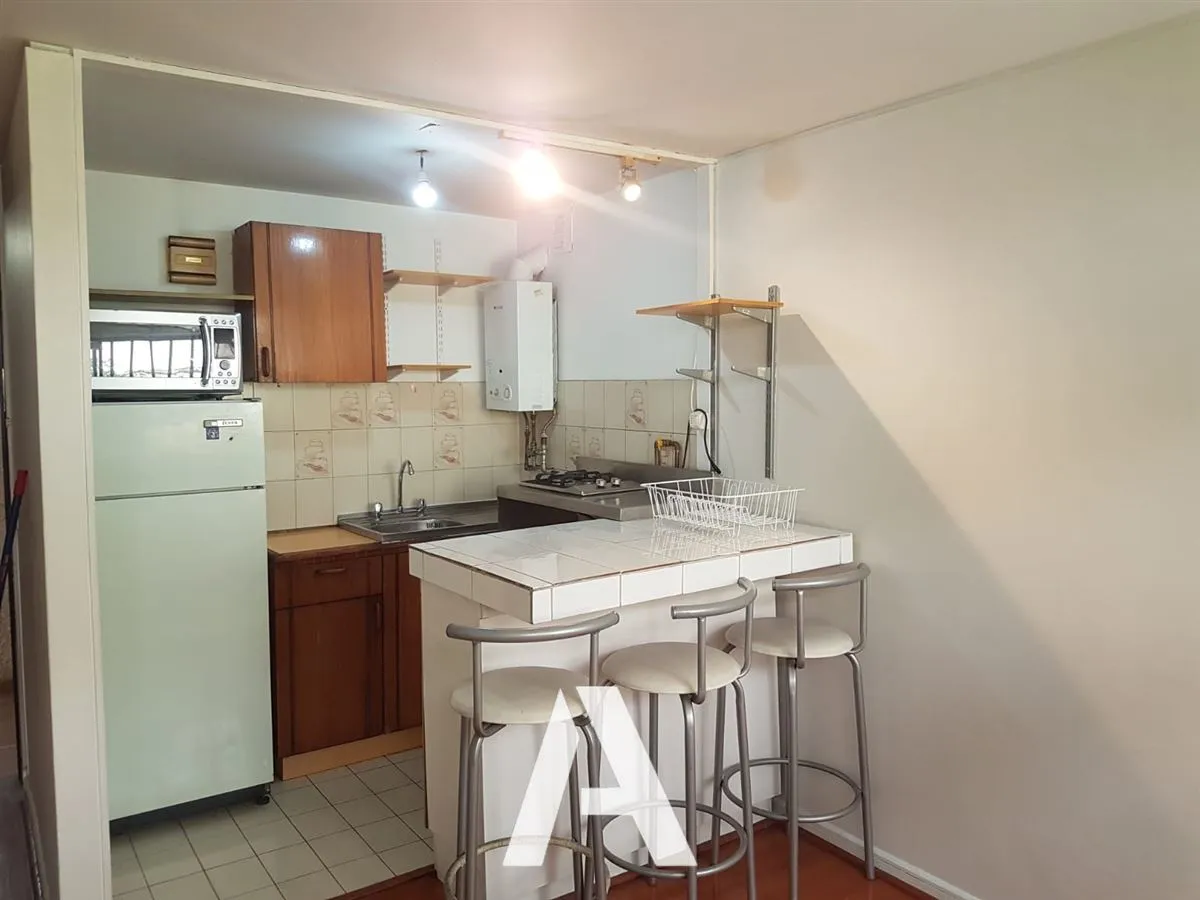 Imagen 4 de 14 de Arriendo Depto 1d, 1b 1 Est, Pocuro, Los Leones, Providencia