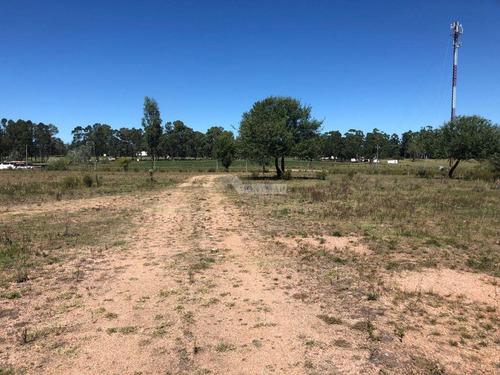 Venta Terreno Manga Camino El Cordero 36980m2 A Mts. Camino Pedro De Mendoza E Instrucciones