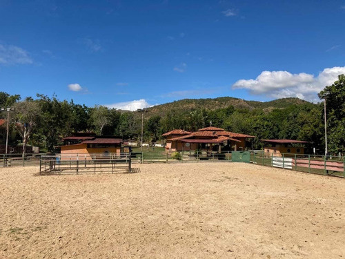 Imagen 13 de 20 de Pieranyela Rodríguez. Finca En Tinaquillo C 1747