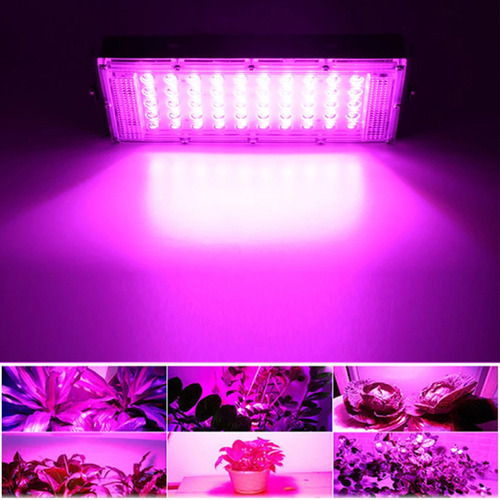 Led Grow Light Full Spectrum Para Plantas De Interior E Hidr
