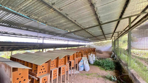 Imagen 2 de 14 de Finca En Palo Grande San Cristobal