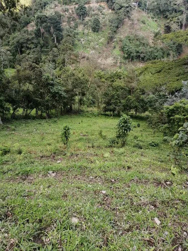 Finca Ganadera Cachipay Cundinamarca