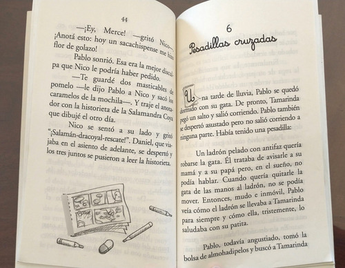 El Anotador. Juan Sabia . Alfaguara Infantil . Libro (Usado)