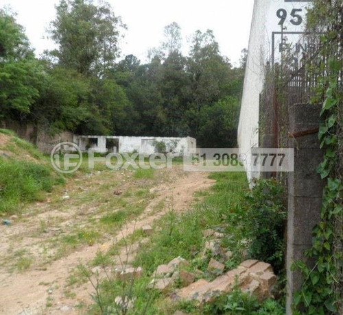Imagem 4 de 10 de Terreno, 3846 M², Agronomia - 206335