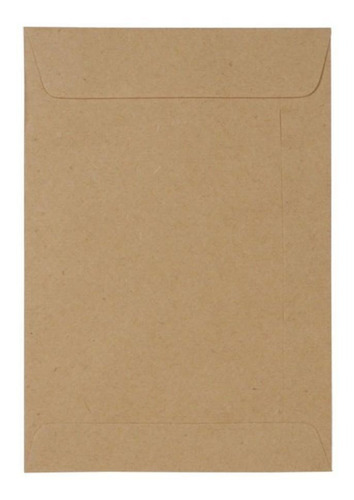 Envelope Saco Kraft 22,9cmx32,4cm 80g Caixa Com 500 Unidades