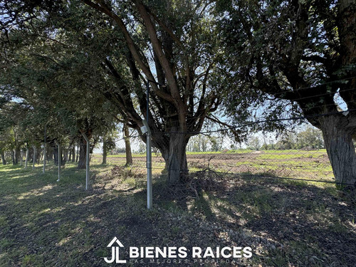 Uf 95 Terreno En Venta En El Cardal Ii, Los Cardales