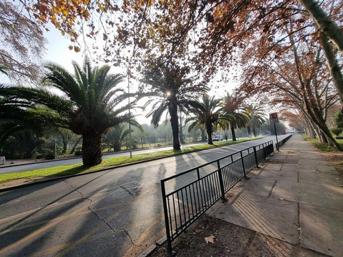 En Venta Departamento (metro Rondizzoni )