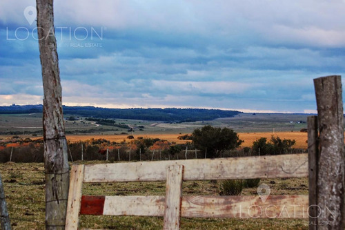 Campo - José Ignacio