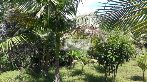 Imagem 3 de 30 de Sítio Com 3 Dormitórios À Venda, 302000 M² Por R$ 1.200.000,00 - Centro - Tapiraí/sp - Si0004