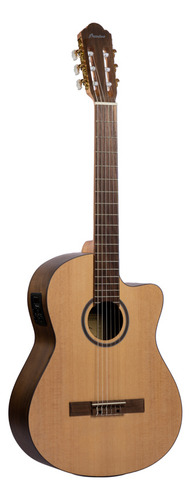 Bamboo Gc-39-stage-q Guitarra Electroacústica C/ Funda Abeto Color Natural Material del diapasón Nogal Orientación de la mano Diestro