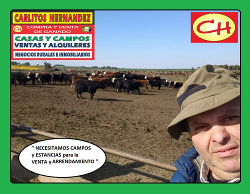 En Zona Playa Cufre En San Jose Necesitamos Por Pedidos Concretos De Nuestros Clientes Casas - Campos - Terrenos Y Apartamentos Para La Venta Y Para Alquilar