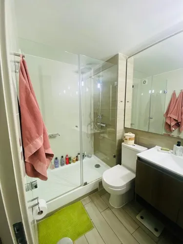 Hermoso Departamento En Providencia