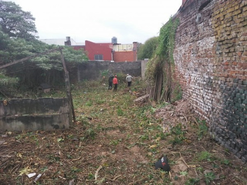 Imagen 3 de 9 de Galpon C/gran Terreno Plena Avenida