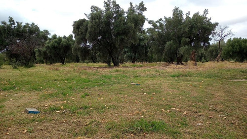 Imagen 9 de 18 de Venta - Finca - Las Paredes, San Rafael