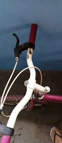 Bicicleta De Niña Rin 20 (Usado)