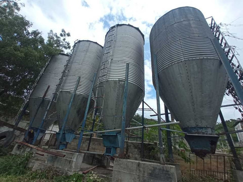 Imagen 5 de 30 de Granja Porcina O Unidad De Producción La Victoria, Aragua.