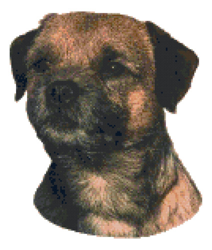 Patron Punto Cruz Diseño Retrato Perro Border Terrier