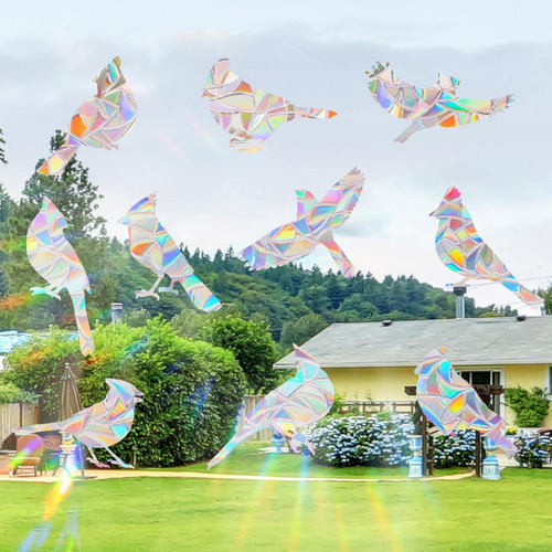 Adhesivos Para Ventanas Con Forma De Pájaro, 10 Unidades, Pe