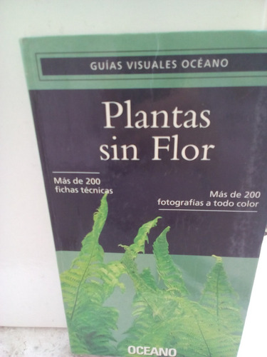 Plantas Sin Flor