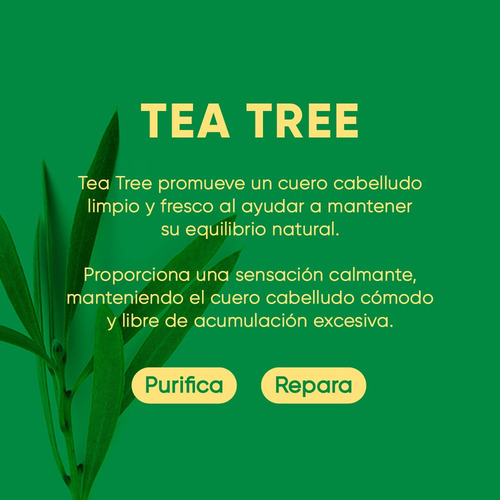 Marsmade Shampoo En Barra De Árbol De Té