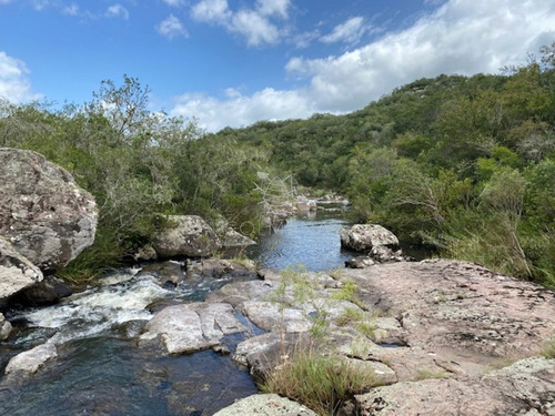 Imagen 10 de 30 de 7 Chacras De 5 Has Cada Una A 20 Km De Aigua Por Ruta 39 - Consulte !!!!!