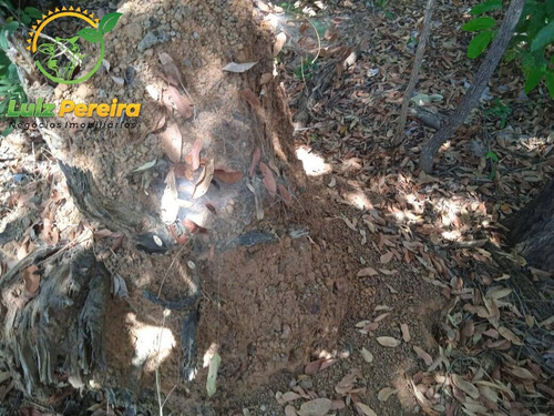 Imagem 4 de 11 de Fazenda À Venda No Vale Do Araguaia - To - Espetacular Para Soja - 1815