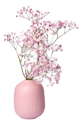 Semilla De Nube Rosa (1 Kilo)