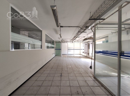 Renta - Oficina - Mariano Escobedo - 700 M2 - Piso 1