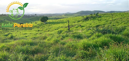 Imagem 5 de 15 de Fazenda À Venda Em Pacajá - Pa - De 625 Alqueirões (dupla Aptidão) - 1830