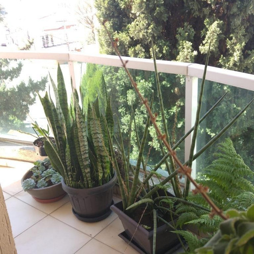 Imagem 20 de 22 de Cobertura Residencial À Venda, Vila Caminho Do Mar, São Bernardo Do Campo. - Co2018