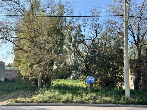 Terreno En Venta En Vicente Lopez 500, Cabildo