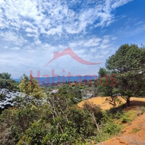 Terreno En Venta En Guarne - Vereda La Clarita Cod 68359