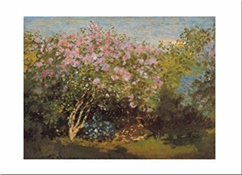 Buyartforless Pink Flowers In Sun De Claude Monet 16 X 20 Pó