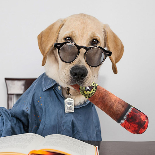 Juguete Para Perros Con Cigarrillos, Juguete Interactivo