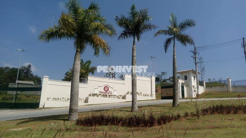 Imagem 12 de 13 de Terreno Com Projeto - Te9625