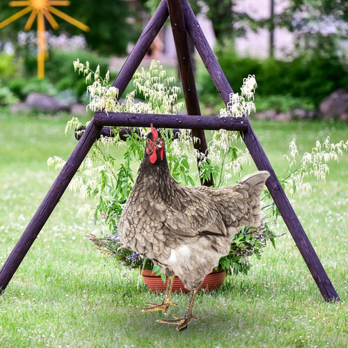 Yard Arts Hen Lawn Ornament Backyard Chicken Garden Style A
