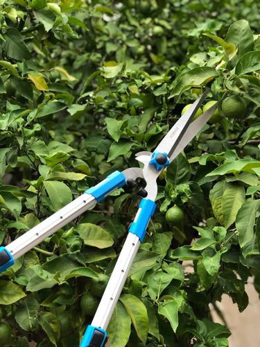 Tijera Cortacerco Premium Con Mango De Aluminio Telescopico