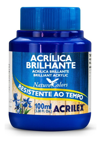 Tinta Acrilica Brilhante 100ml - Cores Cor AZUL TURQUESA 501