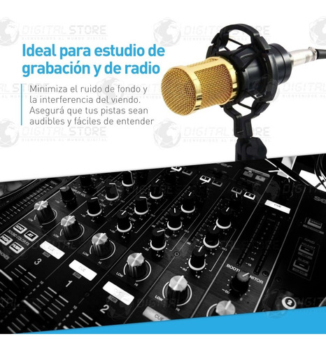 Imagen 5 de 10 de Kit Microfono Condenser Profesional Estudio Brazo Streaming
