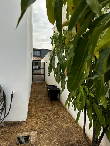 Casa En Renta En Lomas Del Molino I, León Guanajuato