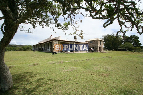 Imagen 21 de 30 de Campo Turistico Cerca De Punta Del Este